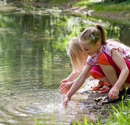 Gites La Forge De Sainte Marie