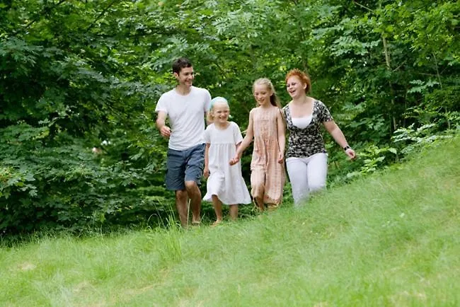 Gites La Forge De Sainte Marie *