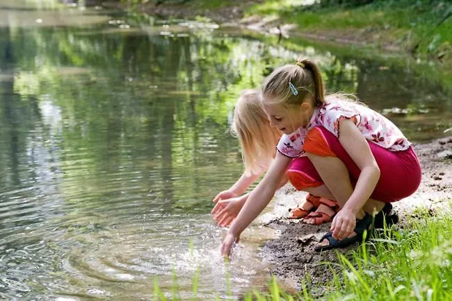 Gites La Forge De Sainte Marie