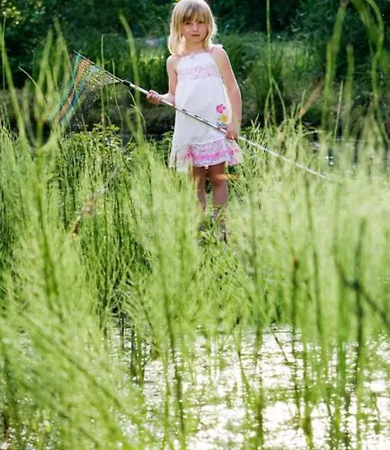 Gites La Forge De Sainte Marie Thonnance-les-Moulins