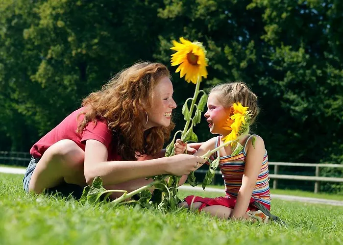 Gites La Forge De Sainte Marie Station touristique *